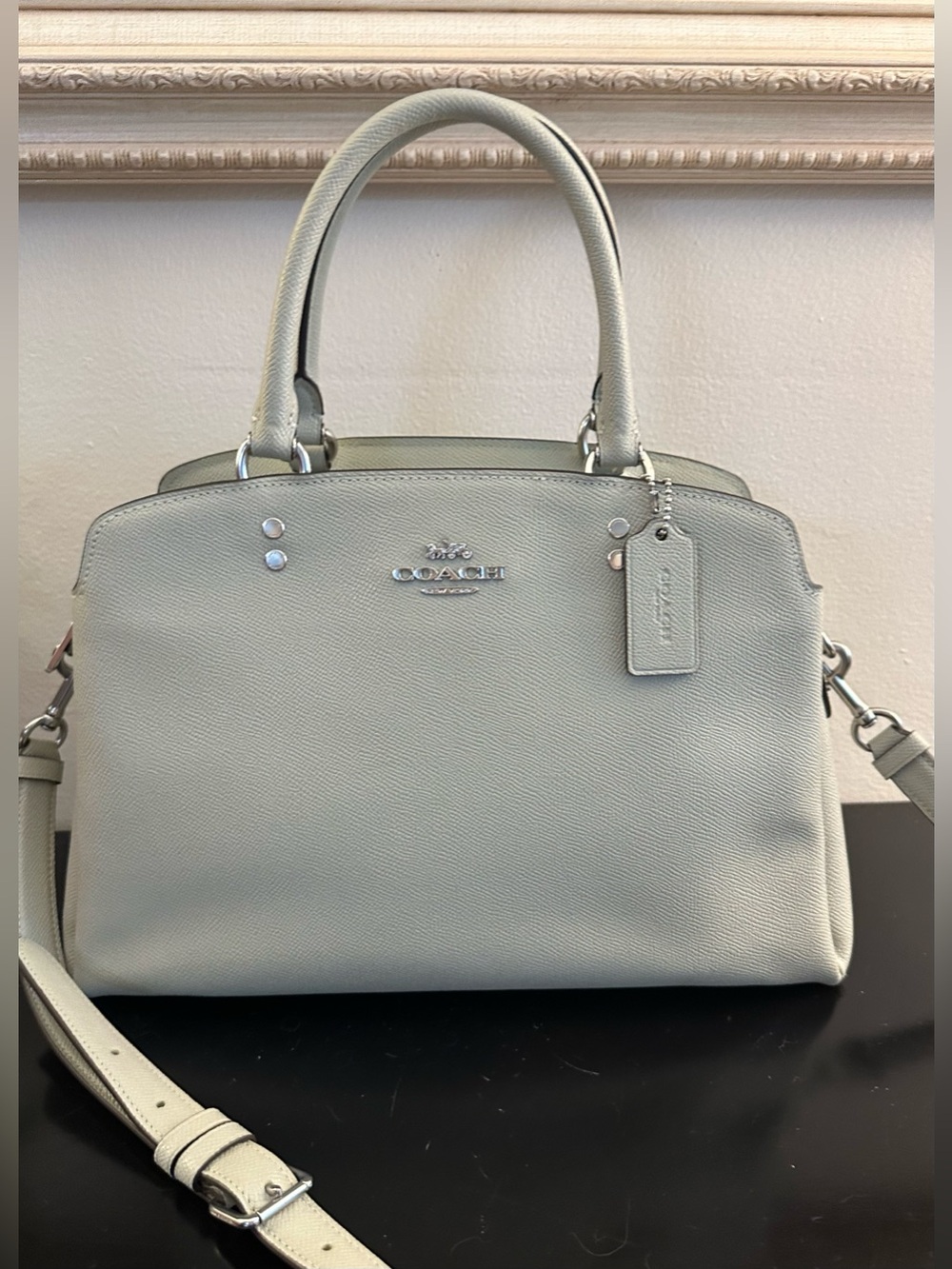 Coach Lillie Carryall Purse Leather Mint Green Crossbody Handbag